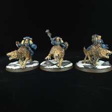 Thunderwolf cavalry painted for sale  BUCKINGHAM