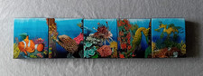Australian sea life gebraucht kaufen  Eisfeld
