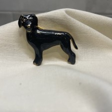 Vintage black labrador for sale  Ozark
