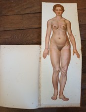 Livre médecine allemand d'occasion  Avon