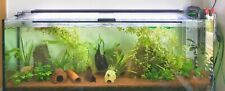 Aquarium 140x35x50 komplett gebraucht kaufen  Erfurt