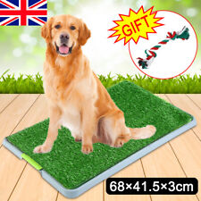 Large pet dog for sale  LEICESTER