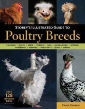 Storey illustrated guide for sale  DUNFERMLINE