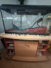 100l aquarium terrarium gebraucht kaufen  Duisburg