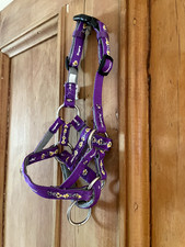 Dogmatic dog training for sale  CHESTERFIELD