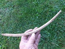 Fine eskimo inuit for sale  Winchester