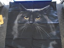 New beautiful black for sale  Corona