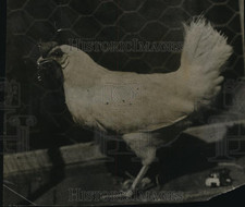 1927 press photo for sale  Memphis