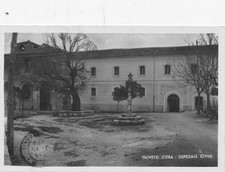 oliveto usato oliveto usato  Bari