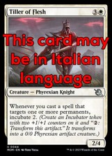 Mtg tiller flesh usato  Bari