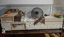 Terrarium 100x40x40cm kleintie gebraucht kaufen  Einbeck