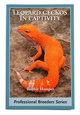 Leopard gecko captivity for sale  UK
