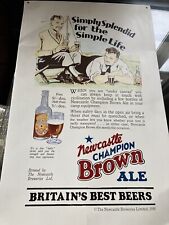 Newcastle champion brown for sale  NOTTINGHAM
