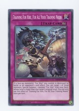 Yugioh Training Fur Hire,Fur All Your Training Needs MP19-EN212  NM 1st Ed x2, usado comprar usado  Enviando para Brazil