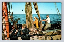 Usado, Cartão postal antigo Cape Cod MA-Massachusetts, barco de pesca comercial comprar usado  Enviando para Brazil