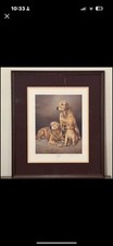 Nigel hemming generations for sale  Clarksburg