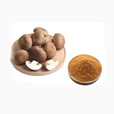 100g 500g shiitake d'occasion  Expédié en Belgium