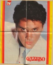 Poster gazebo paul usato  Italia