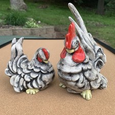 Two gray chickens for sale  Saint Croix Falls