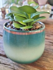 Artificial plant green for sale  ROCHESTER