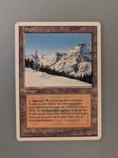 Mtg taiga terra usato  Ravenna