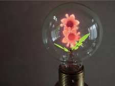Usado, Aerolux Style Neon Glow Lampe Birne-THE FLOWERS---E27-220 V- comprar usado  Enviando para Brazil