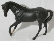black beauty horse for sale  WHITCHURCH