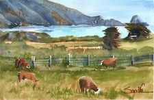 California cows pastoral for sale  Ventura