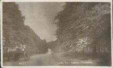 Real photo clumber for sale  ROSSENDALE