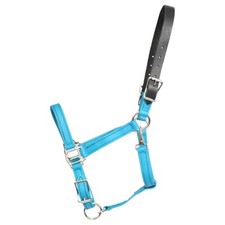Horse size ready for sale  Lexington