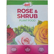 Doff rose shrub for sale  SLOUGH