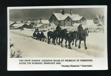 Helmsley yorks horse for sale  WELLS
