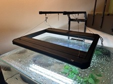 Aquatic life hybrid for sale  Fort Collins