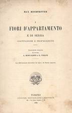 Fiori appartamento serra. usato  San Casciano in Val di Pesa