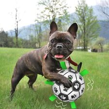 Hundefußball hund interaktive gebraucht kaufen  Wilnsdorf