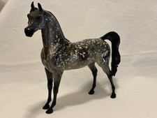 peter stone arabian for sale peter stone arabian for sale Perkasie