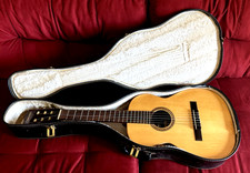 Giannini guitar 70s for sale  Salina