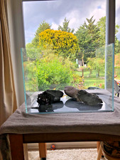 Waterbox aquarium underpad for sale  STAINES-UPON-THAMES