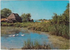 Grado gorizia case usato Grado gorizia case usato  Italia