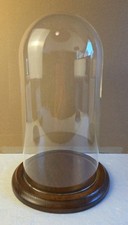 X5.5 glass dome for sale  Colorado Springs