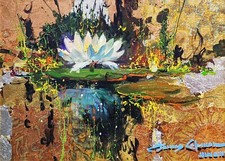James coleman lily for sale  Miami