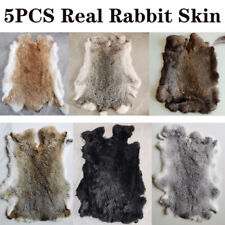 5pcs real rabbit for sale  UK