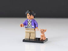 Lego rajesh raj gebraucht kaufen  Köln