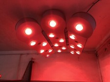 Pferdesolarium solartec philli gebraucht kaufen  Waldshut-Tiengen