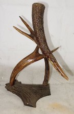 Alte geweihlampe kerzenleuchte gebraucht kaufen Alte geweihlampe kerzenleuchte gebraucht kaufen  Ostrach