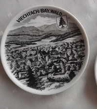 Souvenir teller viechtach gebraucht kaufen  Asbach
