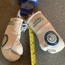 Sheffield wednesday mini for sale  BLACKPOOL
