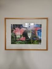 PINTURA IMPRESSA FOTOGRAFIA COLORIDA EDIÇÃO LIMITADA ADRIENNE GANS comprar usado  Enviando para Brazil