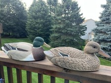 Ducks unlimited 1990 for sale  Hartland