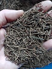 Spruce needles partially for sale  LISBURN